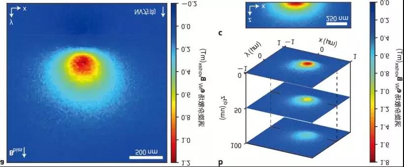 Количественное изображение побочных полей одиночных магнитных вихрей