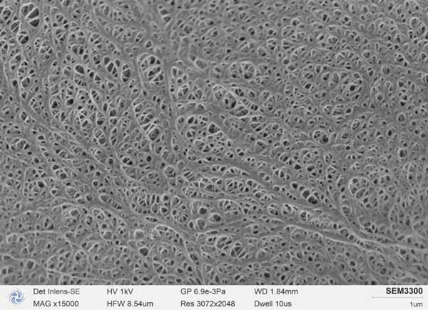 Рисунок б: Сфотографированная SEM3300 диафрагма литиевой батареи, четко видны поры диафрагмы, острый край отверстия