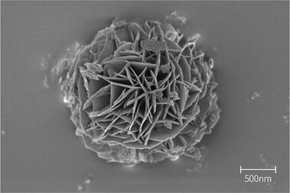 изображения семенного анализа - Nanoflower