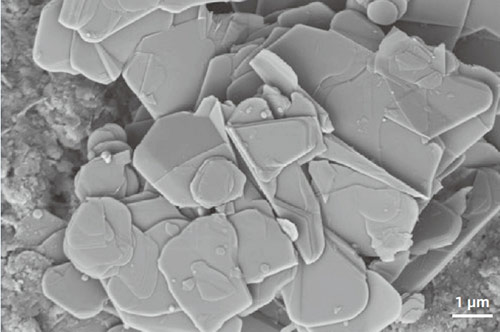 FESEM Microscope BN ceramic nano-sheets, expose layer structure under low-voltage ETD image