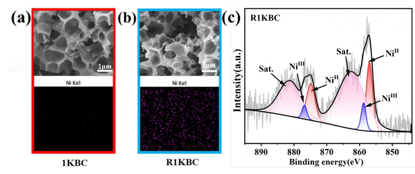 Figure 3. Morphology and EDS comparison of the material before (a) and after (b) Ni–Cit removal; (c) XPS spectra of surface Ni 2p after the removal process.