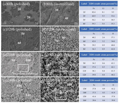 Figure 2. SEM images and EDS point scans (#1–#16) of CLF-1 surfaces exposed to magnetic fields: polished (0.28 T), rough (0.46 T).