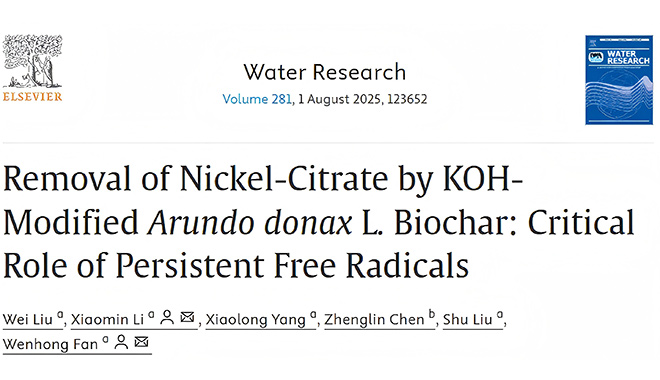 CIQTEK SEM and EPR Reveal a New Pathway for Nickel-Citrate Removal