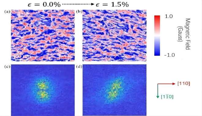 CIQTEK помогает в исследованиях магнитной визуализации тонких антиферромагнитных пленок